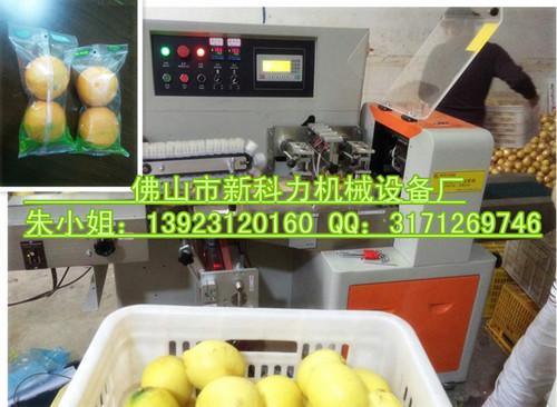 供应柠檬自动包装机，水果套袋包装机
